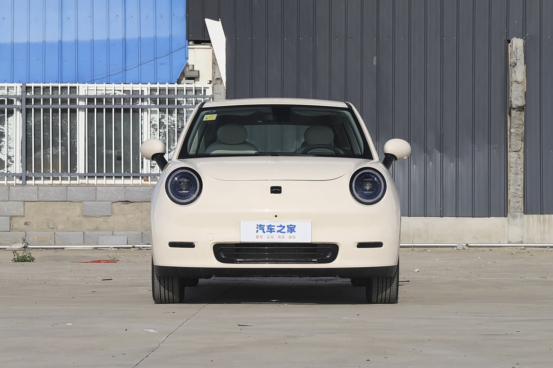 JAC E30x - Miniature 10